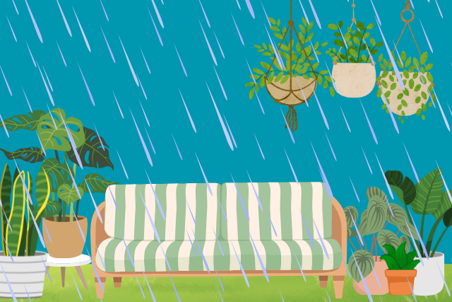 How to prepare your garden and landscaping for a hurricane